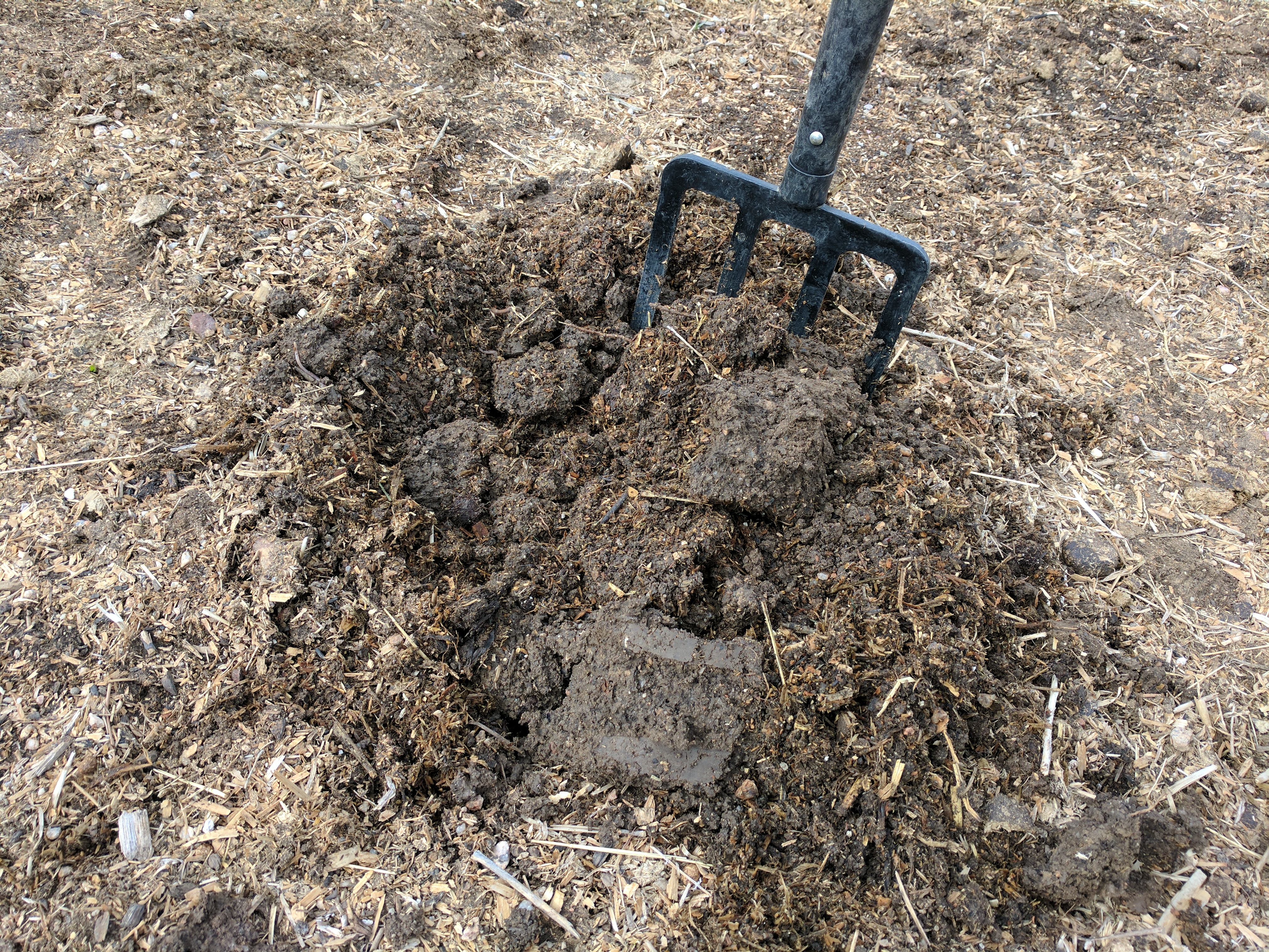 SOIL, WET CLUMPS