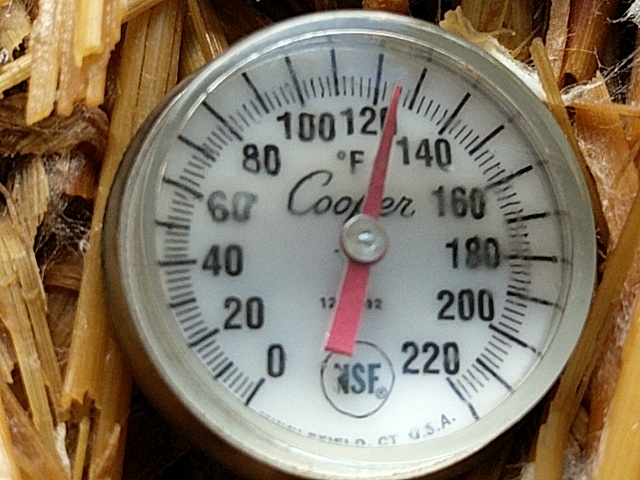 STRAW BALE TEMP, 125