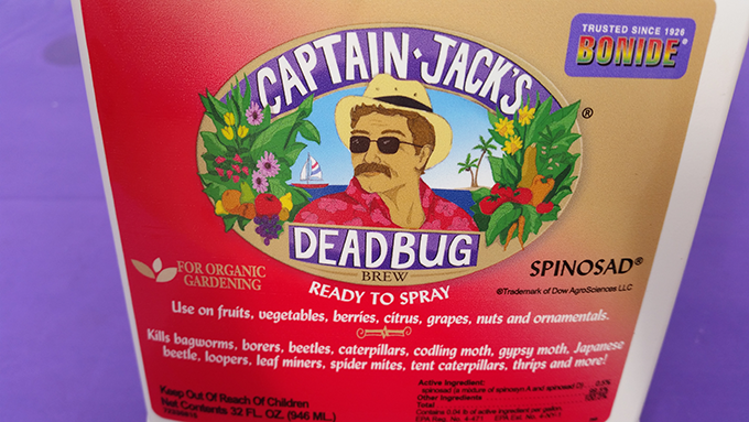 captain jacks dead bug at Tagawa Gardens Denver