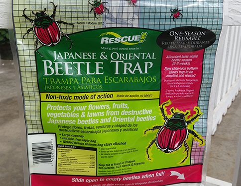 japanese beetle trap at Tagawa Gardens Denver