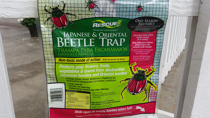 japanese beetle trap at Tagawa Gardens Denver