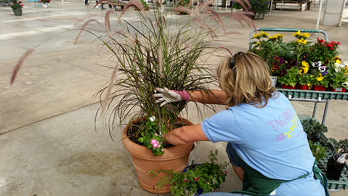 sally-removes-old-plants-at-tagawa-gardens