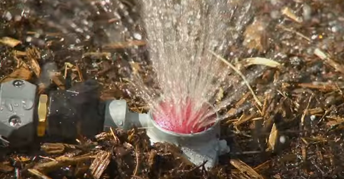 another-small-sprinkler-winter-watering-at-tagawa-gardens-denver