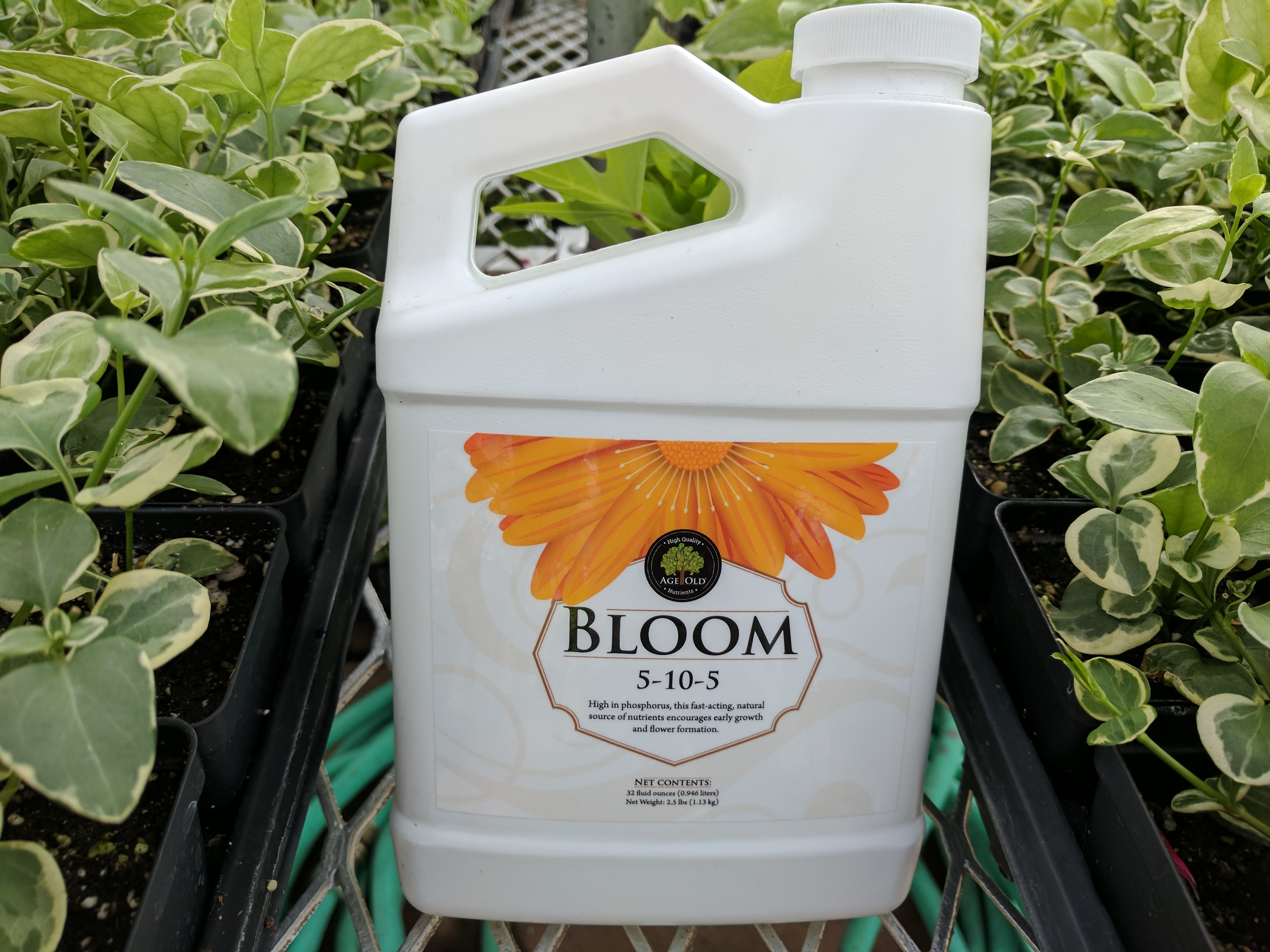 FERTILIZER, BLOOM