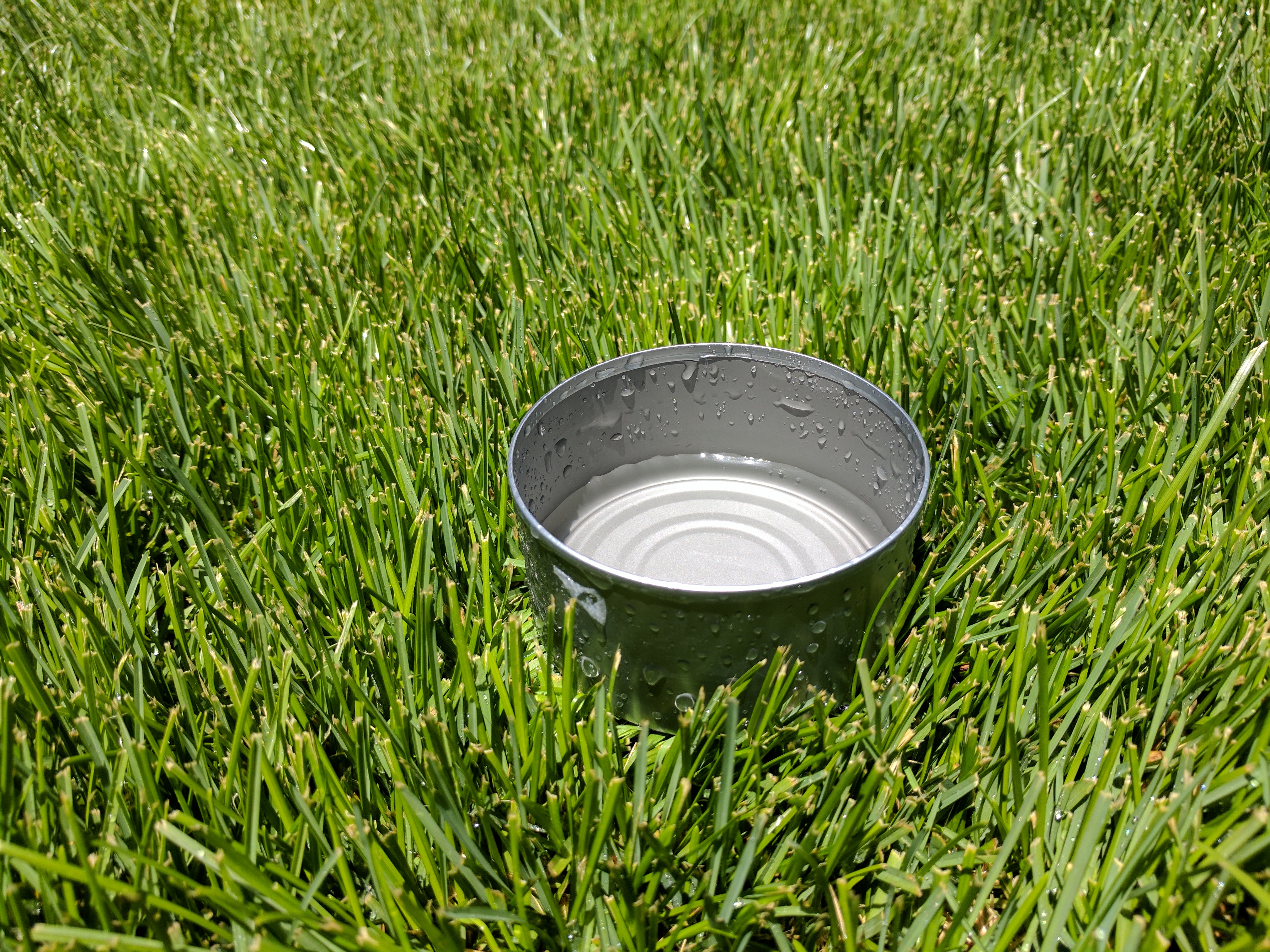 TUNA CAN ON GRASS